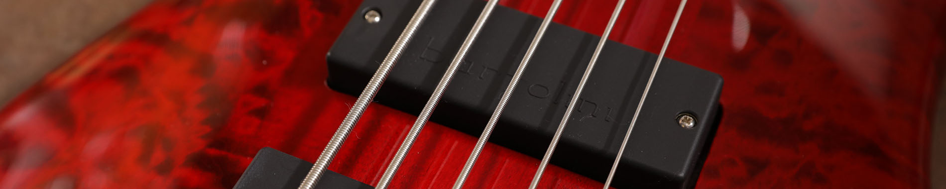closeup of pickups on Spector electric bass