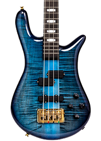 Blue Spector bass guitar