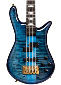 Blue Spector bass guitar