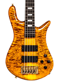 Spector Euro bass in tiger's eye finish