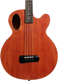 Spector Timbre Series Acoustic Bass Guitar