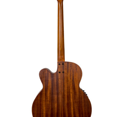 back of brown acoustic bass