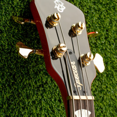 Spector bass headstock