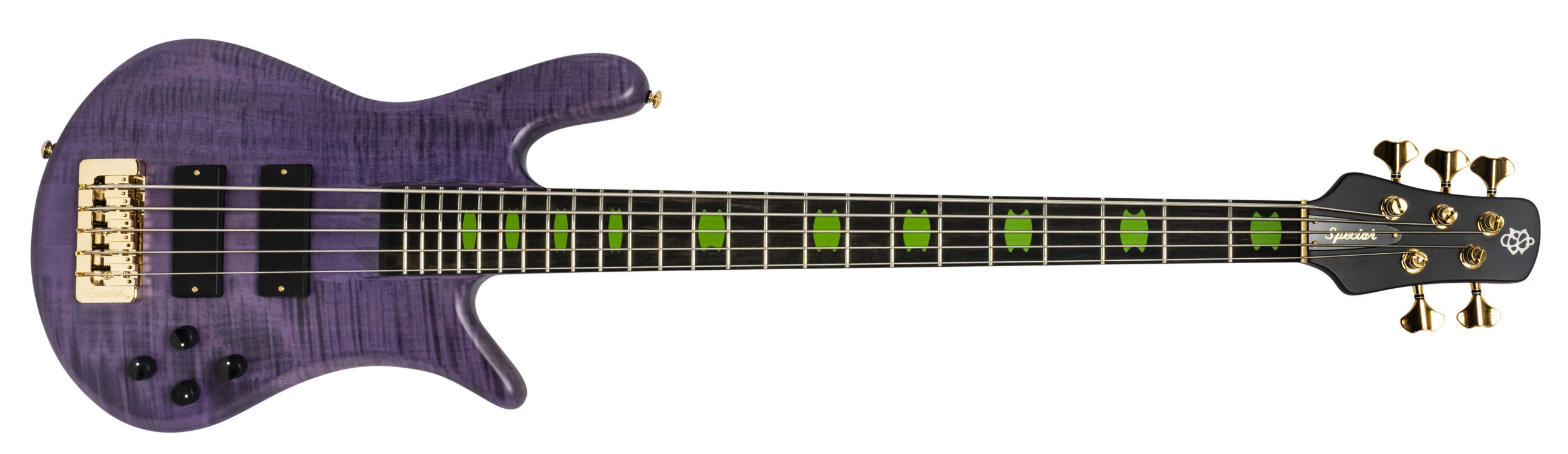 front of purple bass