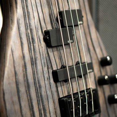 body of bass closeup