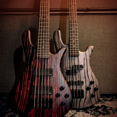 bodies of two basses