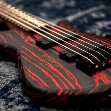 body of bass