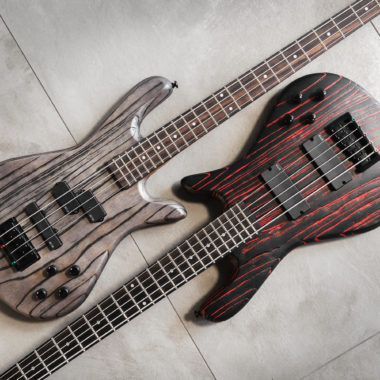 bodies of two Spector basses