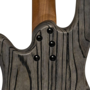 closeup of neck joint on Spector bass