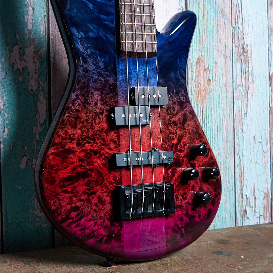 body of blue and purple Spector bass in front of blue wood panels