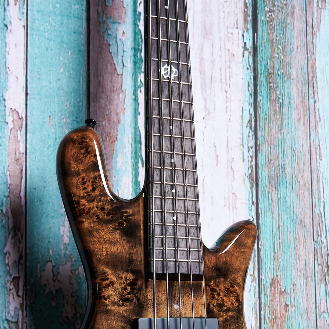 top of brown Spector bass body in front of blue wood panels