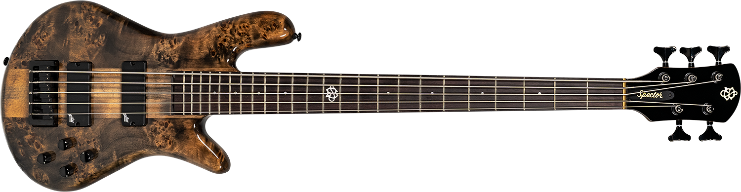 brown Spector bass