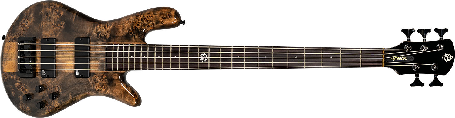 brown Spector bass