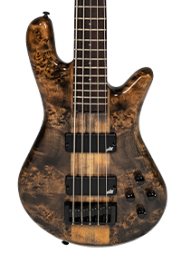 body of Spector bass