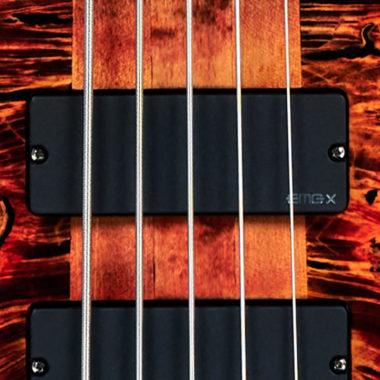 Spector bass strings on Spector USA bass