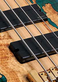 close up of bass strings over pickups on a Spector USA bass