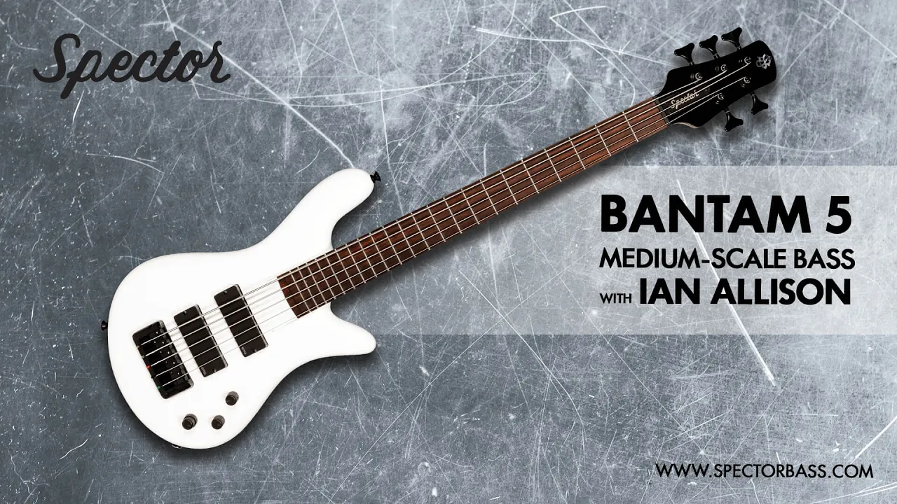 Bantam 5 - Spector Bass