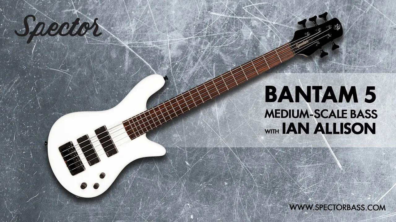 Spector: Bantam 5 Medium-Scale Bass with Ian Allison