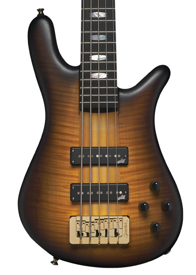 Spector NS USA bass guitar