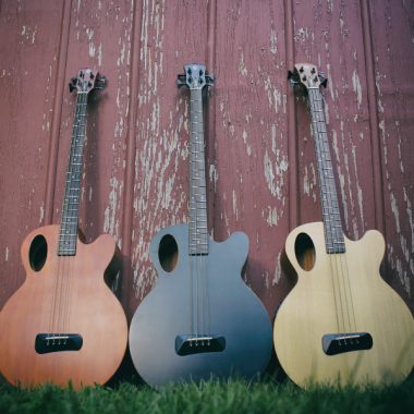 three Spector Timbre acoustic basses in grass leaning up against wooden panels