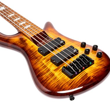 body of Spector Eurobolt electric bass